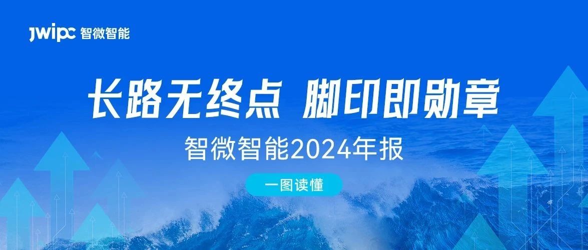 [一图读懂乐发∨I官方网站智能2024年报] 长路无终点，脚印即勋章. 2024年实现营收与利润双增长
